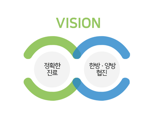 비전 : 환자 중심의 의학을 실현하며, 친절과 정성으로 최상의 진료를 제공합니다.