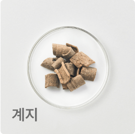 계지